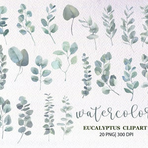 May include: A set of 20 watercolor eucalyptus clipart images. The images are in shades of green and blue and are perfect for adding a touch of nature to your designs.