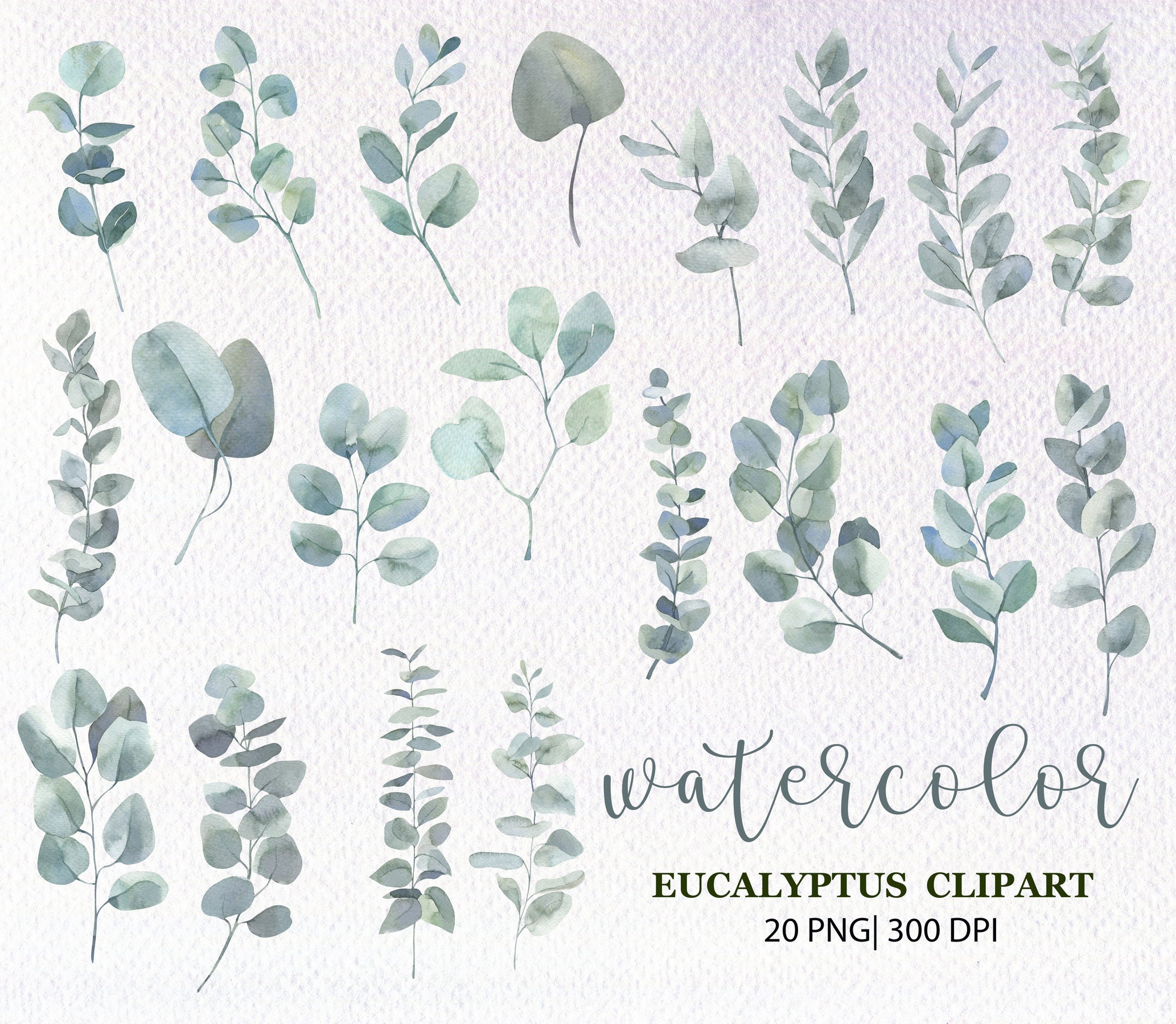 Watercolor Eucalyptus Clipart Eucalyptus Leaves Eucalyptus - Etsy