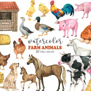 Aquarell Tiere auf dem Bauernhof Clipart PNG, Tier Clipart, Kinderzimmer Dekor, Kinderzimmer Wandkunst, Kuh, Pferd, Schwein, Vogel Bauernhof Clipart, Bauernhof Geburtstag