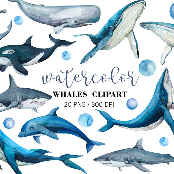 Watercolour Whale Clipart, dolphin Clipart, Watercolor sea animals,Blue whale illustration, Nautical Wall Decor, Nursery Art, PNG, Whale Art