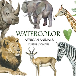 Aquarel Afrikaanse dieren clipart, savannedieren, wild leven, png, decor kinderkamer, wilde dieren, safaridieren, leeuw, olifant, giraf