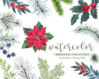 Watercolor Winter clipart. PNG. Christmas clipart. Pine Brunches. Red berries. Red poinsettia. Winter flower. Christmas elements. DIY