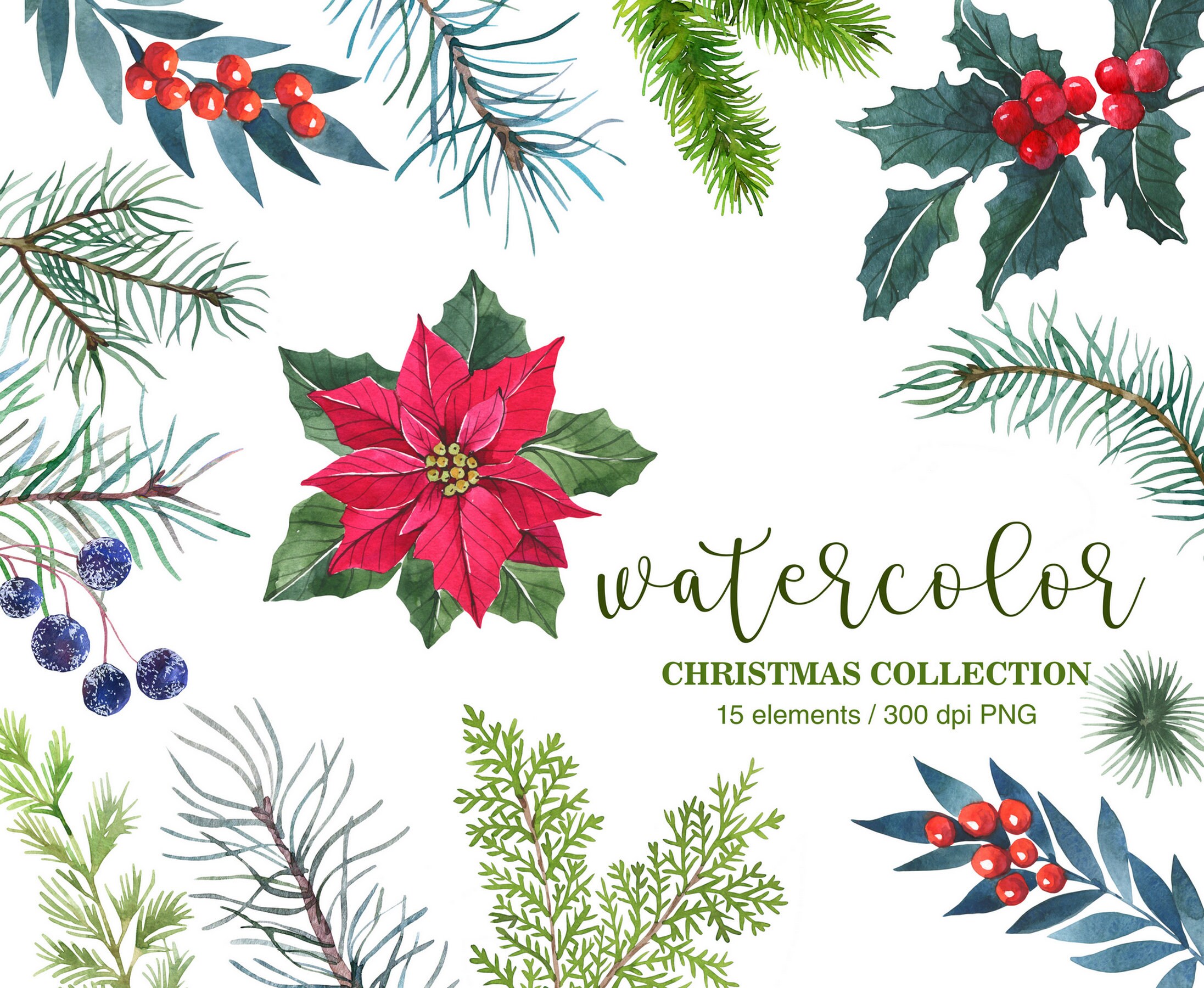 Watercolor Winter clipart. PNG. Christmas clipart. Pine Brunches. Red berries. Red poinsettia. Winter flower. Christmas elements. DIY
