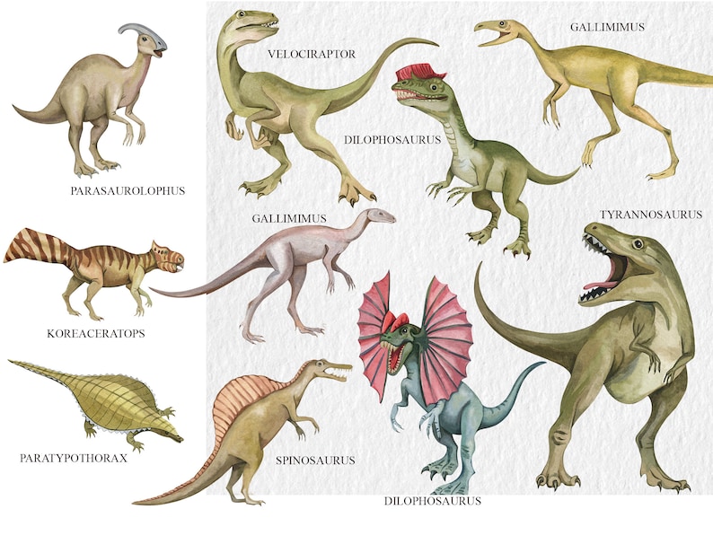 May include: A watercolor illustration of 10 different dinosaurs, including a Parasaurolophus, Koreaceratops, Paratypothorax, Spinosaurus, Dilophosaurus, Gallimimus, Velociraptor, and Tyrannosaurus. Each dinosaur is labeled with its name.