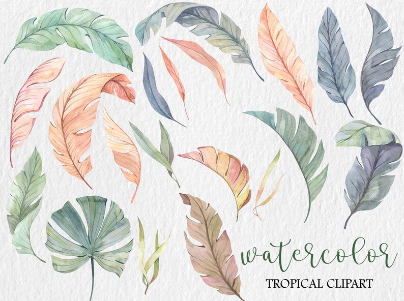 May include: Watercolor clipart featuring tropical leaves in shades of green, blue, and pink. The leaves are arranged in a random pattern on a white background. The text "watercolor tropical clipart" is written in green at the bottom of the image.