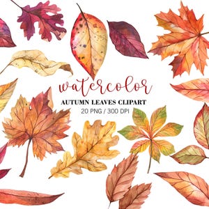 Watercolor Fall Leaves Clipart PNG, Hand Painted Fall Clipart, Autumn Decor, Woodland, Autumn Leaves Clipart, Fall Leaves, Thanksgiving