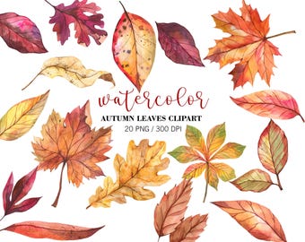 Hojas de otoño en acuarela (imágenes prediseñadas PNG), hojas de otoño pintadas a mano, decoración otoñal, bosque, hojas de otoño, Acción de Gracias