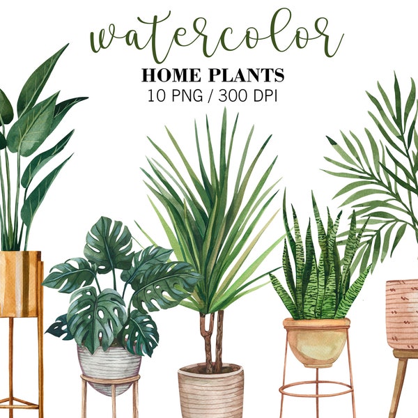 Watercolor Home Plants Clipart, Potted plants clipart, Indoor Plants, Greenery Home, monstera, ficus, dracaena, palm. Planner Clipart, PNG