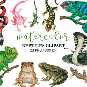 Aquarelle reptile Clipart, clipart amphibiens PNG grenouilles, serpents, lézards, caméléons crocodile reptiles dessinés à la main, retour à l'école Clipart