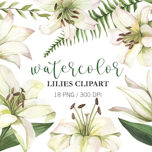Imágenes prediseñadas de lirios blancos de acuarela, imágenes prediseñadas florales, imágenes prediseñadas de flores, PNG, imágenes prediseñadas de boda, descarga digital floral, despedida de soltera, ramo de lirios