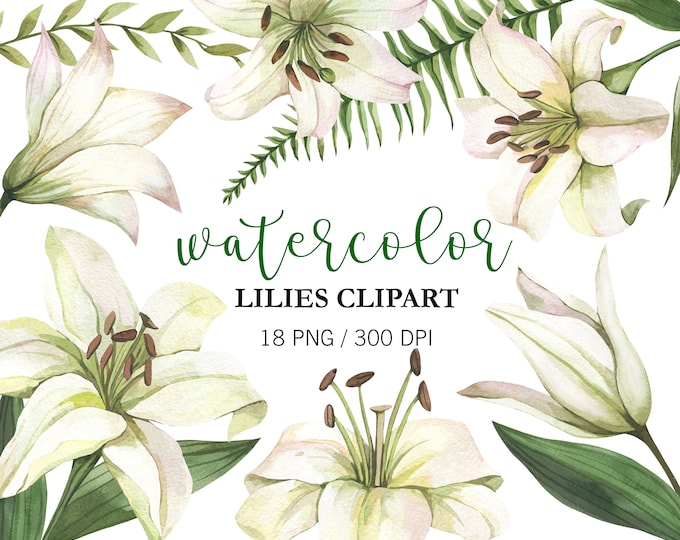 Watercolor Floral Clip Art-navy & Blush/small Set/wedding/individual ...