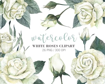 Watercolor White Roses Clipart, Flowers clipart, Wedding Decor, Bridal Graphics, Hand Painted PNG, Wedding Invitation, Floral arrangement