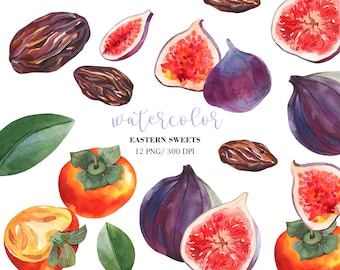 Clipart de frutas exóticas en acuarela, higos, dátiles y caquis PNG, conjunto de ilustraciones de decoración de cocina mediterránea