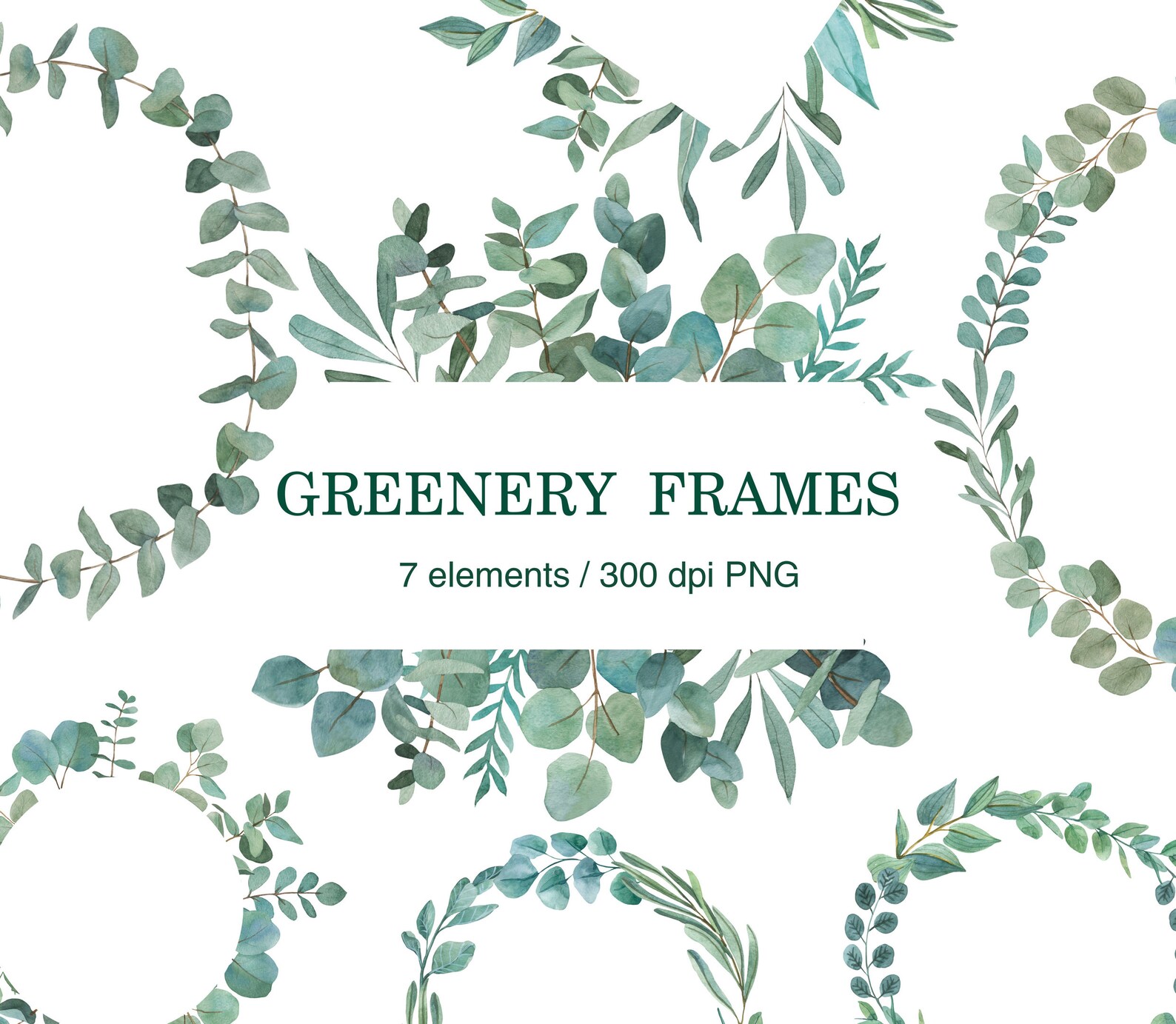 Watercolor Greenery Frames PNG, Eucalyptus Clipart, Floral Border for ...