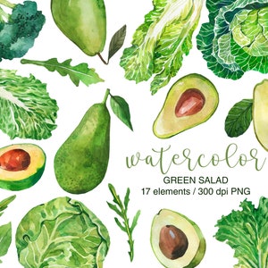 Clipart chou aquarelle, PNG, légumes verts, avocat vert, brocoli, alimentation saine, clipart salade, nourriture végétalienne, bricolage, végétarien