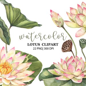 May include: Watercolor illustration of pink and white lotus flowers with green leaves. The flowers are in various stages of bloom, with some fully open and others still in bud. The leaves are a deep green and have a slightly textured surface. The image is titled "Watercolor Lotus Clipart 22 PNG | 300 DPI".