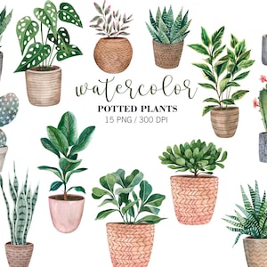 Maison plantes Clipart PNG aquarelle, clipart plantes en pot, cactus PNG, clipart succulentes, plantes d'intérieur, verdure maison, clipart agenda