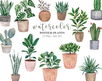 Home Plants PNG Clipart Watercolor, Potted plants clipart, Cactus PNG, Succulent Clipart, Indoor Plants, Greenery Home, Planner Clipart