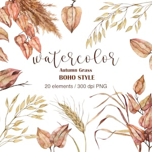 Aquarelle Boho Clipart, PNG, clipart herbe de la pampa, Physalis, clipart bouquet d'automne, dessins de mariage bohème, plantes, roseaux, branches séchées