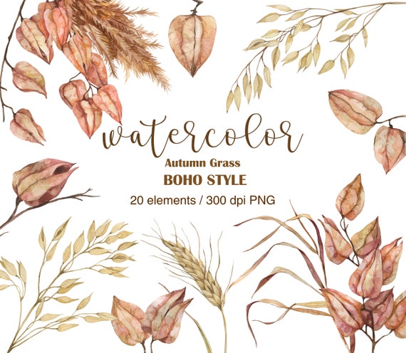 Watercolor Boho Clipart, PNG, Pampas Grass clipart, Physalis, Fall bouquet clipart, Bohemian Wedding Designs, Plants, Reeds, Dried Branches