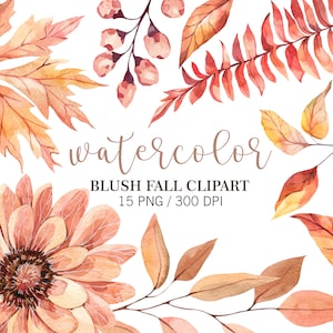 Aquarelle automne clipart, feuilles blush, clipart floral, fleurs Blush, clipart Boho, décoration bohème, PNG, clipart Thanksgiving, collection mariage