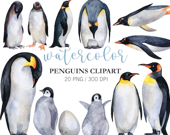 Clipart de pingüino en acuarela: Decoración infantil con animales árticos (Descarga digital)