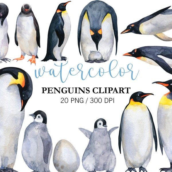 Watercolor Penguin Clipart, Nursery Decor, Watercolor Arctic Animals, PNG, Watercolor animals Clipart, Cute Baby Penguin, Winter Clipart