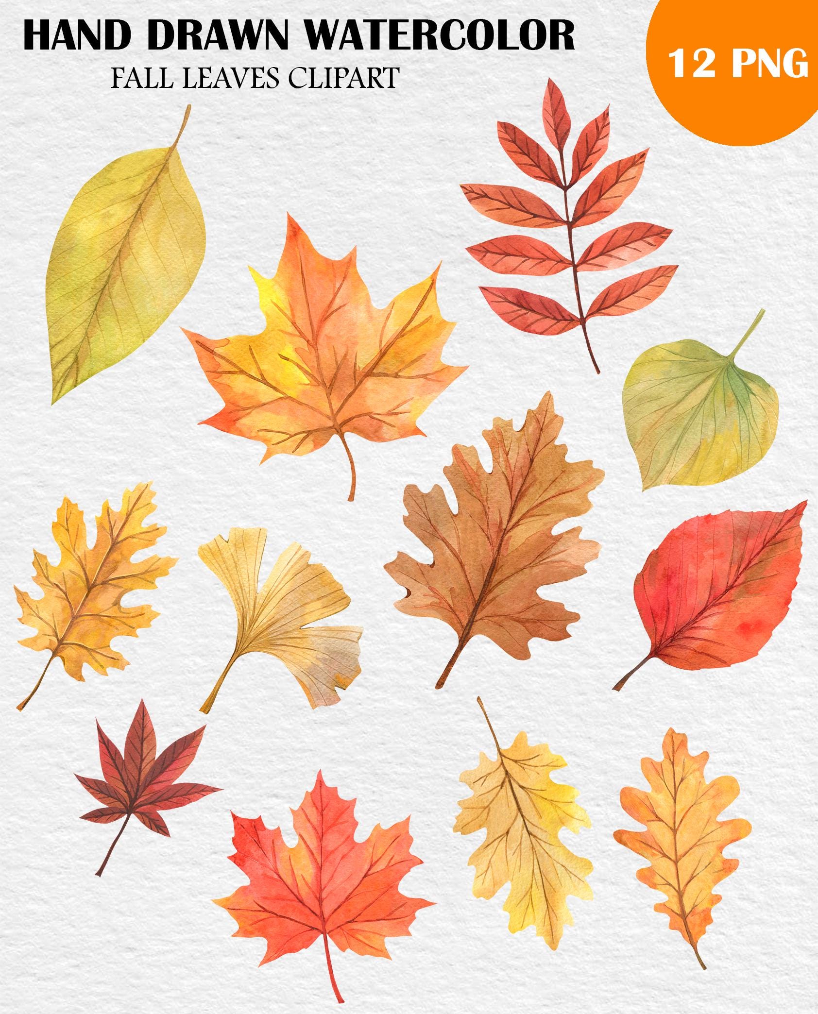 Watercolor Fall Leaves Clipart: Autumn Leaf PNG Fall Decor Collection ...