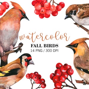 Aquarell Vogel Clipart, Herbst Clipart, handgemalte Vögel, rote Beeren Clipart, Herbst PNG, Herbstblätter, Beeren Brunch, Weihnachtsdekor
