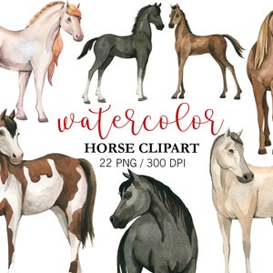 Aquarell Pferd Clipart, Tier Clipart, Kinderzimmer Dekor, Pferd PNG, Bauernhof Clipart, Planer Aufkleber, Ranch Western Party Clipart, digitale Kunst