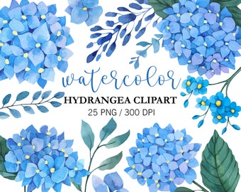 Watercolor Hydrangea Clipart: Blue Floral PNG Set Flowers Clipart Digital Download