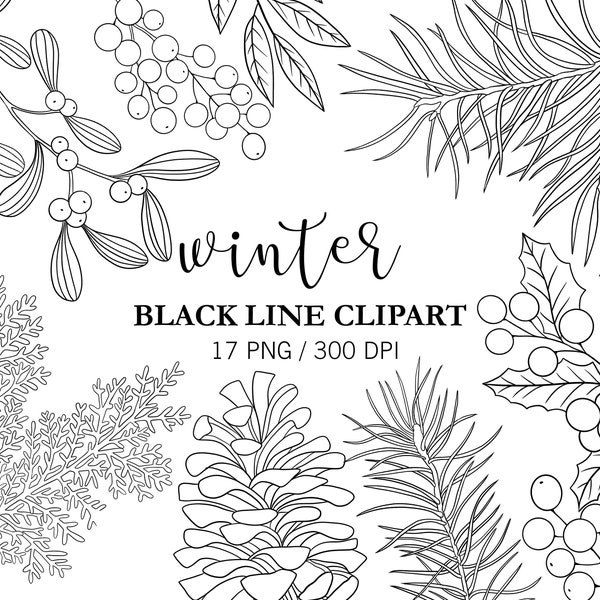 Christmas Pine Cone Clipart, Black Line Clipart, Pine Cone Line Art. Xmas Holiday Line Illustration, Christmas Decor, Doodle Clipart, winter