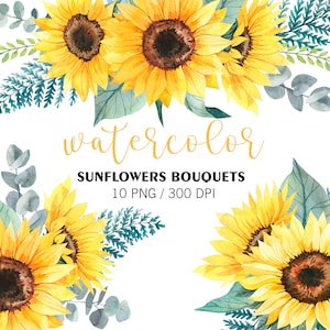 Aquarelle de bouquets de tournesols, clipart fleurs, PNG, Eucalyptus clipart, clipart verdure, bouquets de fleurs d'été, composition de tournesols