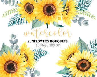 Watercolor Sunflowers Bouquets, Flowers Clipart, PNG, Eucalyptus clipart, Greenery clipart, Summer Flower Bouquets, sunflowers composition