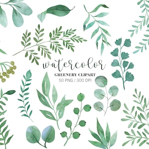 Watercolor Greenery Clipart, Watercolor Leaves, Green Foliage, Simple Greenery, Wedding Clipart, PNG, Branches, Leaf, Stems, Foliage Green