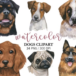 Watercolor Dogs Clipart, Pet clipart, Animal Clipart, PNG, Nursery Decor, Cute clipart, Watercolor Dogs portrait, Birthday Decor, dogs breed image 3