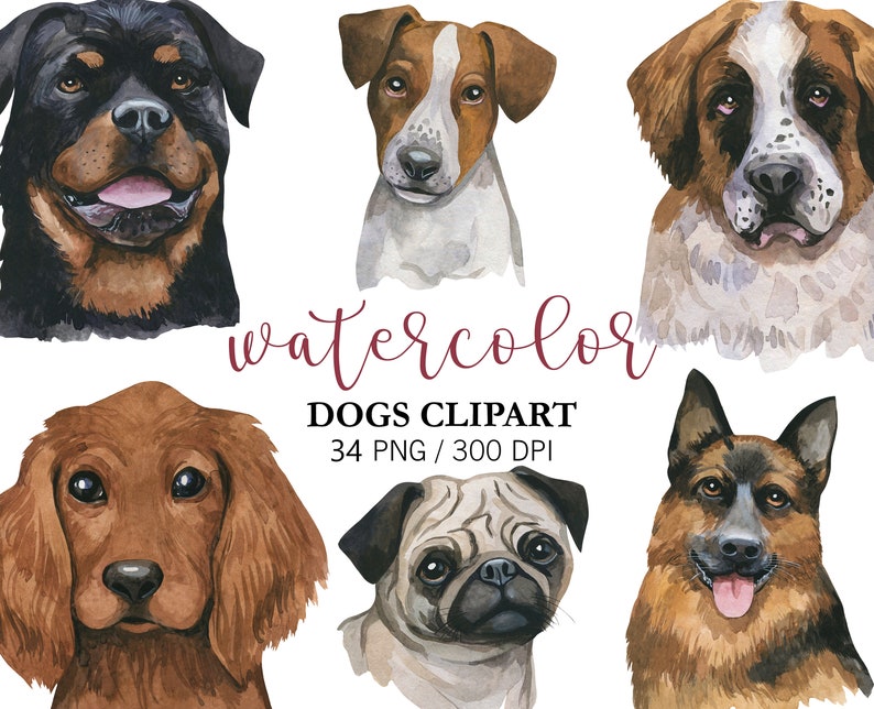 Watercolor Dogs Clipart, Pet clipart, Animal Clipart, PNG, Nursery Decor, Cute clipart, Watercolor Dogs portrait, Birthday Decor, dogs breed image 3