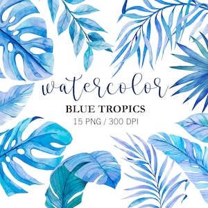 Aquarell Blaue Tropische Blätter Clipart, Aquarell Tropische Clipart, Palmenblätter, PNG, Monstera Clipart, Tropische Sommerhochzeit, Exotisch