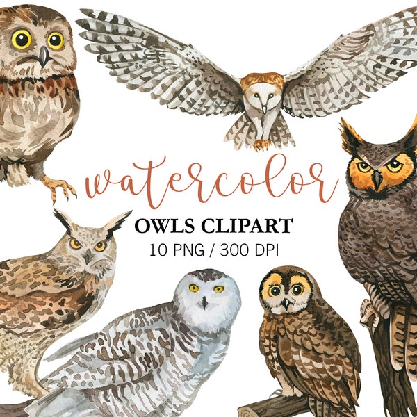 Watercolor Owls Clipart, Woodland Forest Clipart, Nursery Decor, PNG, Watercolor birds, Magical owls, night forest bird, Baby Shower