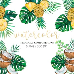 Composiciones tropicales de acuarela, piña, coco, monstera, hojas de palma, imágenes prediseñadas de la selva, hojas pintadas a mano, plantas de la selva, PNG,