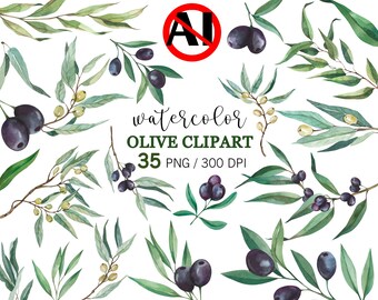 Olive Watercolor Clipart, Hand Painted PNG  Olive Branch Elements + 2 Seamless Patterns, Mediterranean Botanical Digital Download
