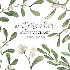 Aquarell Mistelzweig Clipart, Weihnachten Mistelzweig Clipart, Weihnachtsdekor, Winter Clipart, Weihnachten PNG, Hochzeit Clipart, grün Clipart
