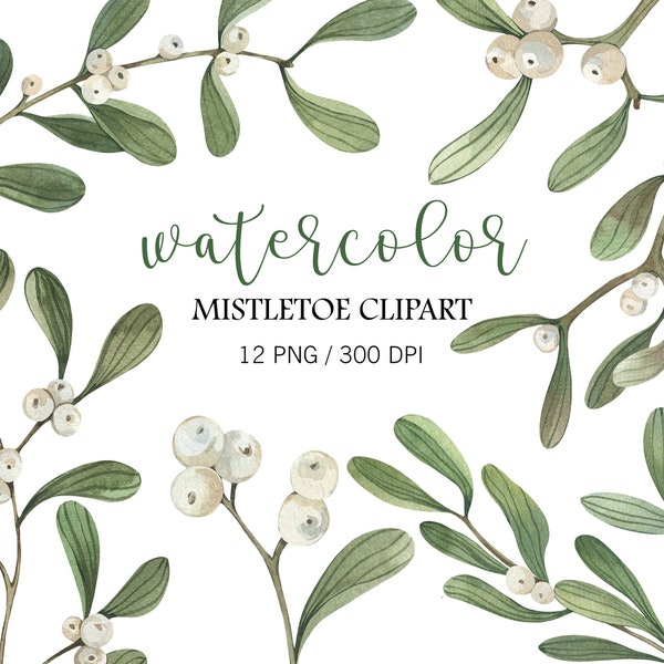 Aquarell Mistelzweig Clipart, Weihnachten Mistelzweig Clipart, Weihnachtsdekor, Winter Clipart, Weihnachten PNG, Hochzeit Clipart, grün Clipart