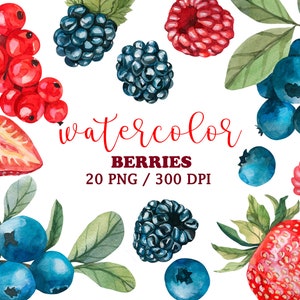 Clipart de frutas vermelhas em aquarela, clipart de verão, mirtilo desenhado à mão, amora, clipart de frutas vermelhas suculentas de verão. Decoração de aniversário. Decoração de cozinha