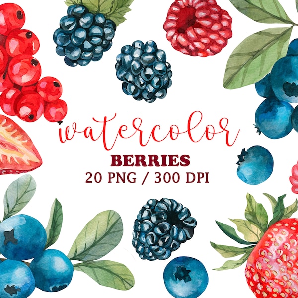 Aquarell Beeren Clipart, Sommer Clipart, Handgezeichnete Blaubeere, Brombeere, Sommer Juicy Berry Clipart. Geburtstag Dekor. Küchendeko