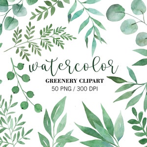 Aquarel groen clipart, aquarel bladeren, groen gebladerte, eenvoudig groen, bruiloft clipart, PNG, takken, blad, stengels, gebladerte groen