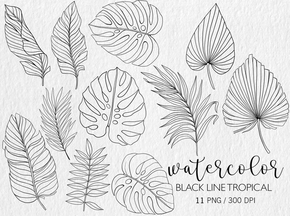 Tropical Leaves Clipart, Black Line Art, Simple Line Leave, Tropical Plant,  PNG, Monstera Leaf, Palm, Doodle Clipart, Botanical Art, -  Canada