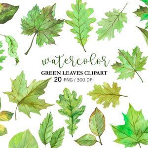 Puede incluir: Clipart de acuarela con varias hojas verdes de diferentes formas y tonos. La imagen incluye el texto "watercolor" y "GREEN LEAVES CLIPART 20 PNG / 300 DPI". Las hojas están pintadas con técnicas de acuarela, mostrando una gama de tonos verdes.