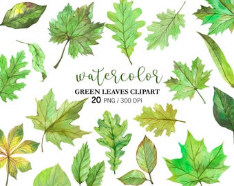 Watercolor Green Leaves Clipart PNG, Hand Painted Greenery Leaves Clipart, Leaves Decor, Woodland,  Oak, Maple, Summer Leaves