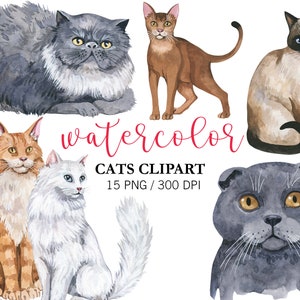 Watercolor Cat Clipart: Hand-Painted Cats Portrait PNG Digital Download